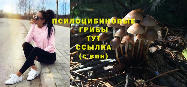 дживик Белокуриха