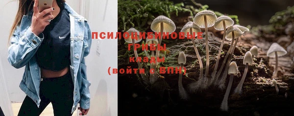 дживик Белокуриха