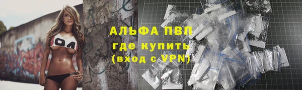 дживик Белокуриха