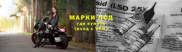 дживик Белокуриха